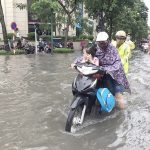 Mơ thấy lội nước đánh con gì