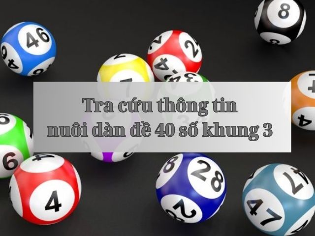 nuoi dan de 40 so khung 3 ngay