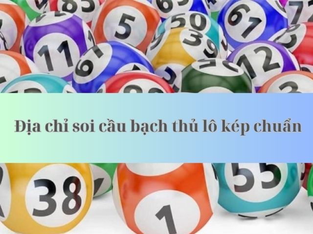 soi cau bach thu lo kep