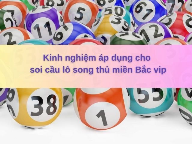 soi cau song thu lo mien bac vip