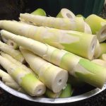 Mơ thấy măng là điềm báo lành hay dữ? Đánh con lô bao nhiêu?