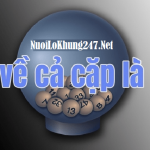 Lô về cả cặp là gì? Cách soi cầu lô về cả cặp được yêu thích nhất