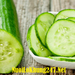 Nằm mơ thấy dưa chuột là điềm lành hay hay dữ?