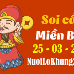 Soi cầu 247 dự đoán kết quả xổ số miền bắc ngày 25/3/2022