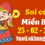 Soi cầu 247 dự đoán kết quả xổ số miền bắc ngày 25/02/2023