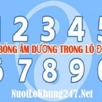 Bóng âm dương lô đề là gì? Kinh nghiệm đánh bóng lô đề chuẩn xác nhất
