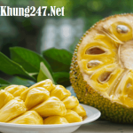 Nằm mơ thấy quả mít là điềm lành hay dữ? Nên đánh còn lô gì?