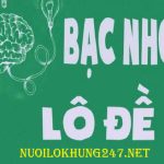 Thống kê bạc nhớ cách bắt số theo ngày hiệu quả nhất