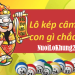 Lô kép câm đánh con gì? Hướng dẫn phương pháp bắt lô kép trúng lớn