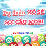 Soi cầu Mobi – Dự đoán xổ số mobi miễn phí chính xác hôm nay