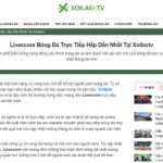 Tìm hiểu lý do khiến Xoilac TV lại có sức hút lớn đến như vậy 
