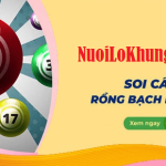 Rồng bạch kim 247 – Soi cầu Rồng bạch kim 247 chính xác 100