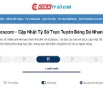 Livescore 7m – nền tảng theo dõi tỷ số thể thao trực tiếp