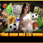Giới thiệu sảnh casino win55 – Điểm cá cược thu hút cược thủ ngày nay