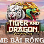 Rồng hổ là gì? Kinh nghiệm chơi rồng hỗ dễ chiến thắng nhất