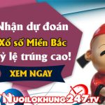 Soi cầu 247 dự đoán kết quả XSMB ngày 21-6-2024