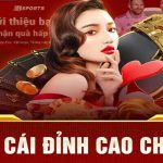 Bsport – Trang Chủ Cá Cược Trực Tuyến Hàng Đầu Hiện Nay
