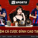 Giới thiệu nhà cái Bsports