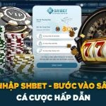Đăng Nhập SHBET – Gia Nhập Nhà Cái Nhanh Chóng An Toàn 2024
