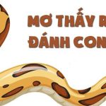 Mơ Thấy Rắn: Con Số May Mắn Cho Bạn