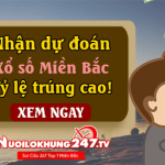 Soi cầu XSMB 14-8 – Dự đoán xổ số miền bắc ngày 14-8-2024