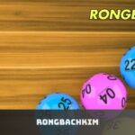 Rongbachkim – Sảnh Nhận Định Xổ Số Uy Tín Nhất Hiện Nay