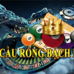 Cầu Bạch Kim Tại For88: Nơi Cung Cấp Thống Kê Lô Đề Đỉnh Cao