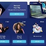 SBOTOP – Khám Phá Không Gian Giải Trí Hàng Đầu Thị Trường