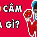 Hướng dẫn cách đánh lô câm trúng lớn không phải ai cũng biết