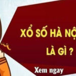 Xổ Số Hà Nội Vip: Khám Phá Thế Giới Đầy Màu Sắc Của Những Con Số