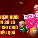 Kinh nghiệm nuôi lô: Chiến thuật vàng để thắng lớn!