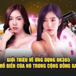 OK365 Bet Chính Thức – Trang Cá Cược Uy Tín