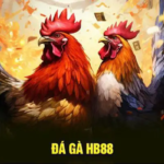 Chơi Đá Gà – Mẹo Giúp Bạn Chiến Thắng Dễ Dàng Tại HB88