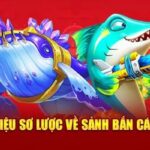 33Win Bắn Cá – Chinh Phục Đại Dương, Nhận Thưởng Khủng