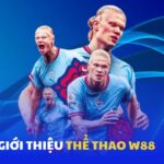 Cá Cược Thể Thao W88 – Cảm Xúc Đỉnh Cao Từ Các Bộ Môn