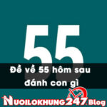Đề về kép 55 hôm sau đánh con gì để trúng lô