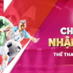 NET88 – Nhà Cái Hàng Đầu Với Dịch Vụ Cá Cược Chuyên Nghiệp
