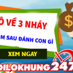 Lô 3 nháy là gì? Hôm nay lô về 3 nháy hôm sau đánh con gì để trúng số