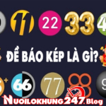Đề báo kép là gì? Dấu hiệu và bí kíp bắt đề về kép