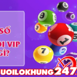 Xổ số hà nội vip là gì? Giải thích tất tần tật về xổ số hà nội VIP