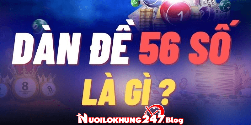 tim hieu ve dan de 56 so