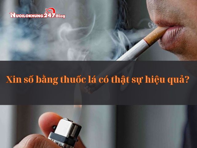 Xin số bằng thuốc lá có thật sự hiểu quả