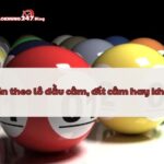 Giải đáp hiện tượng khi đầu câm đít câm đánh con gì?