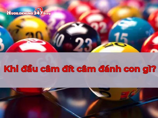 khi đầu câm đít câm đánh con gì