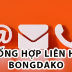 Liên Hệ Bongdako – Hướng Dẫn Chi Tiết Và Đầy Đủ Nhất 2025
