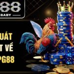Đá Gà Pg88 – Trải Nghiệm Sôi Động và Căng Thẳng Đỉnh Cao