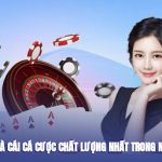 Fm88 – Nhà Cái Cá Cược Chất Lượng Nhất Trong Năm 2025