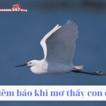 Mơ thấy con cò có điềm báo như thế nào? Đánh số bao nhiêu?