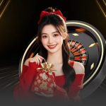 555win: điểm đến lý tưởng cho cá cược trực tuyến