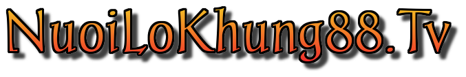 Nuôi lô khung 247 – Soi cầu 88 – Soi cầu 247 Rồng bạch kim chính xác 100